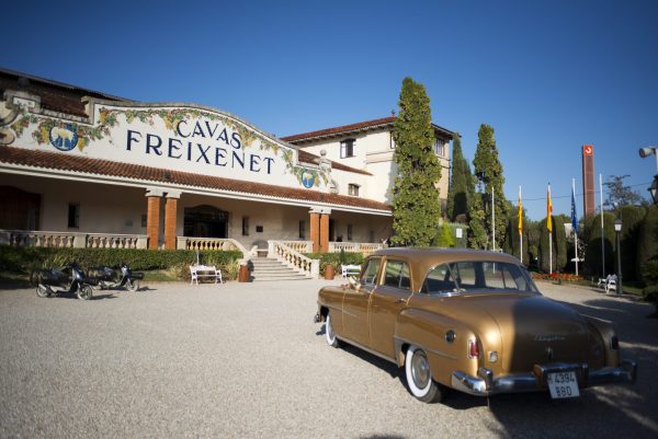 Sparkling giant Freixenet Copestick buys Bolney Wine Estate