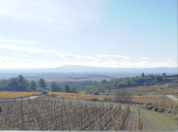 Gérard Bertrand showcases the potential of Languedoc’s ‘Grand Cru’ wine