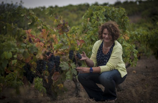 The week in pictures