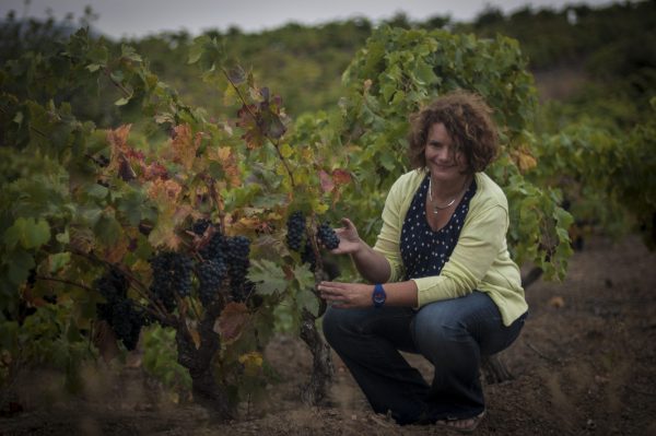 The week in pictures