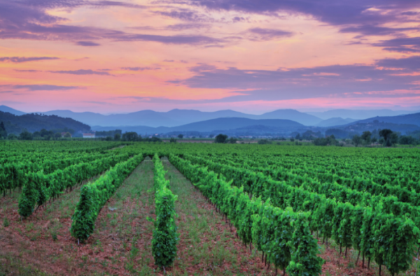 Just how green is pink?