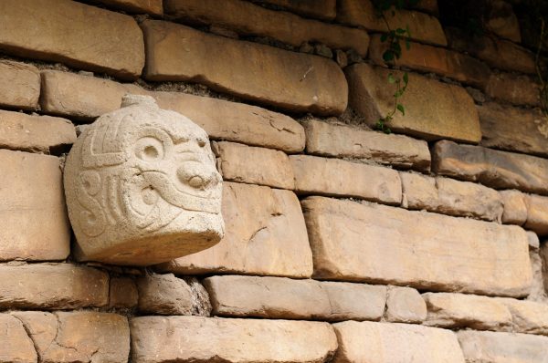 Ancient South American empire helped to rule by psychedelic-laced beer