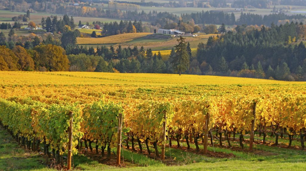 Willamette Valley