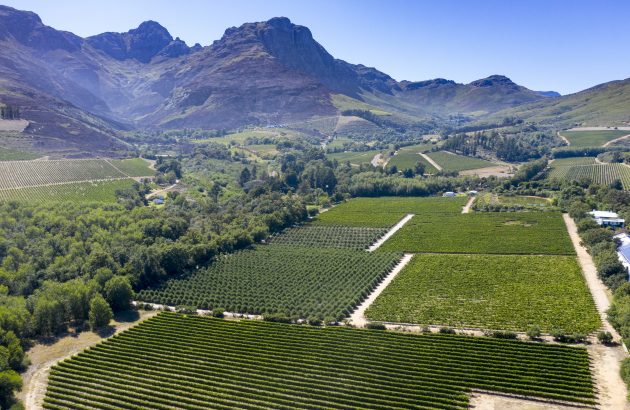 South African export volumes fall, but value rises on price per litre boost