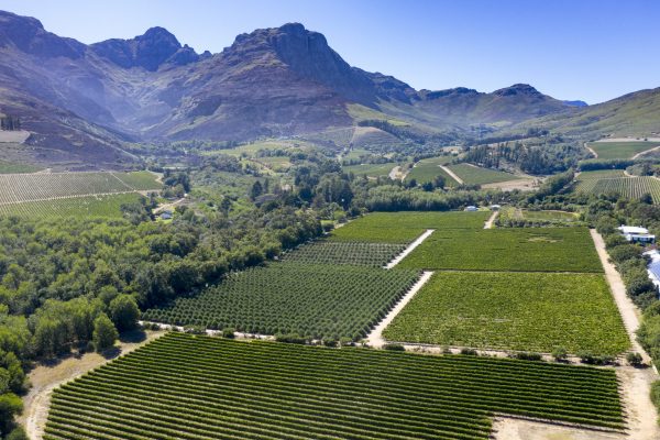 SA’s first black billionaire buys Stellenbosch winery