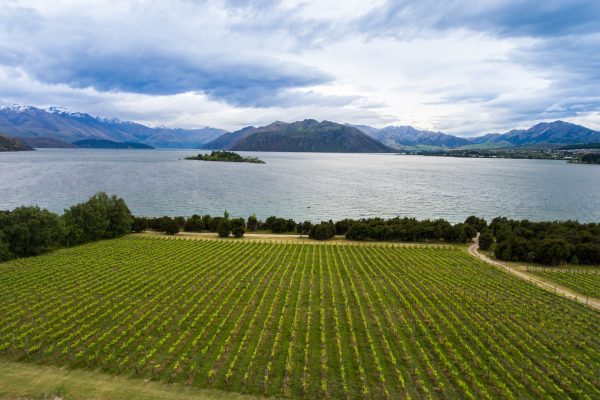 New Zealand Wine launches one-stop-shop Trade Hub