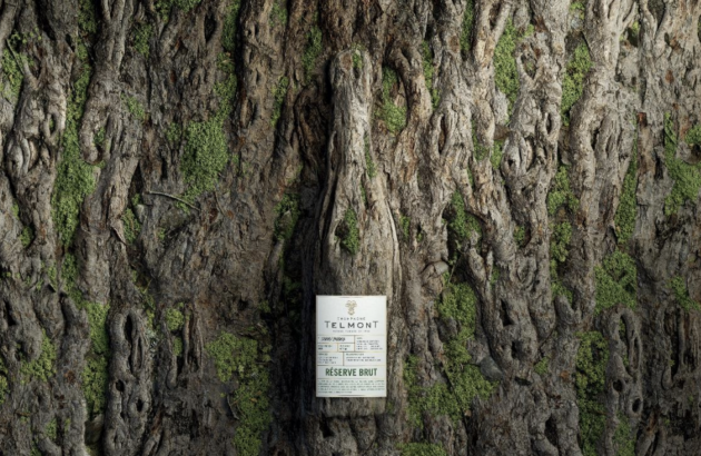 Leonardo DiCaprio acquires stake in Champagne Telmont