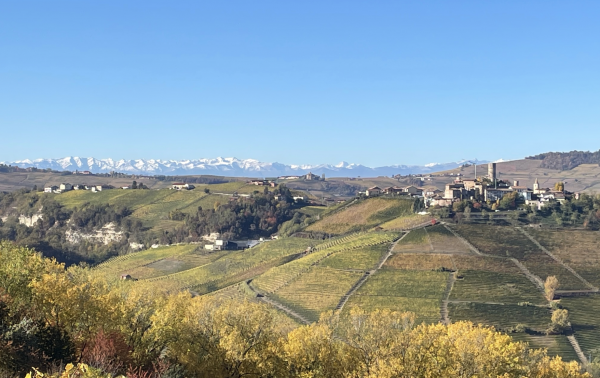 db recommends: Nebbiolo Day tasting 3 March