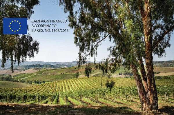 Sicilia DOC invests in the future through sustainability measures and promotional campaigns