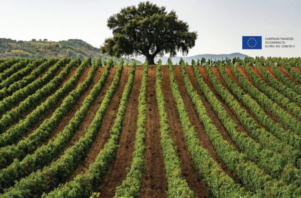 Sicily’s longstanding commitment to sustainability shines through