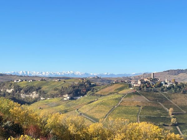 Nebbiolo Day returns to London on 3 March