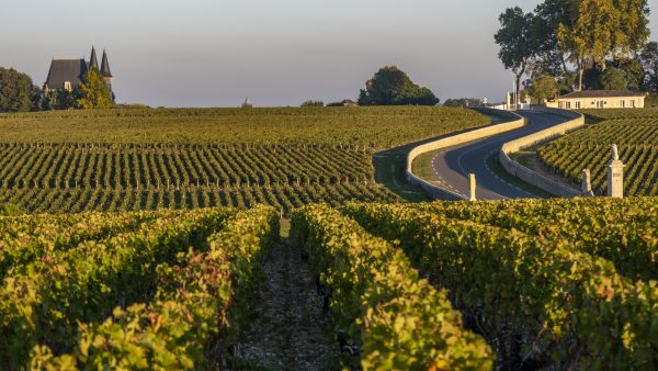 Bordeaux 2022 en primeur: Saint Julien, low yields but ‘excellent’ wine