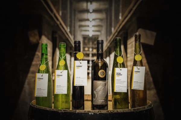 Furmint: a misunderstood grape with a bright future