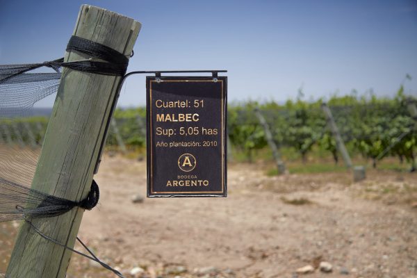 Interest soars for Bodega Argento Malbec masterclass