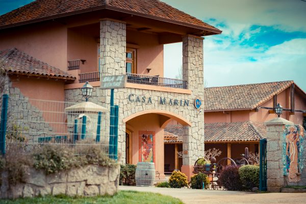 Producer Profile: Viña Casa Marin