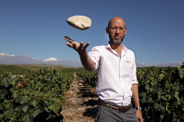 Santa Rita Estates predicts record production for three areas in mid-harvest report