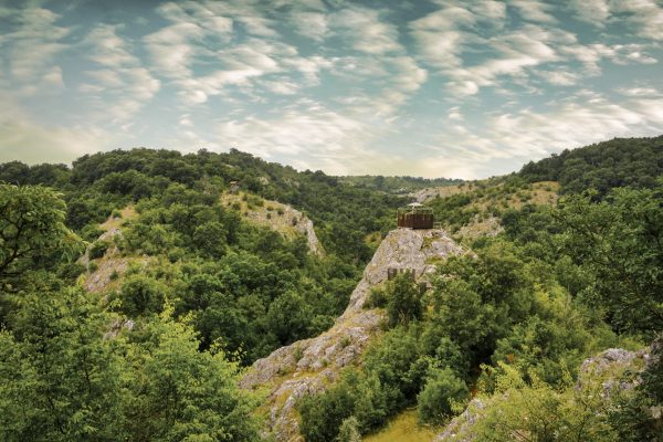 Turkey hiding ancient variety thought to be the ‘godfather of spice’