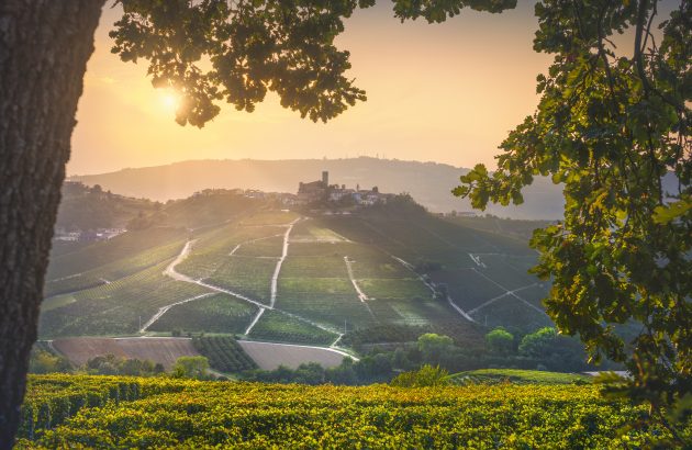 Asti Spumante in jeopardy due to Russia-Ukraine war