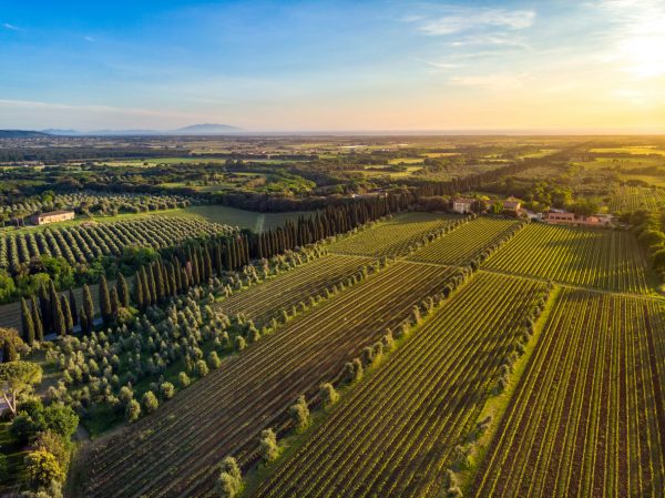Tuscan wine appellations win trademark case against Bulgarian brand