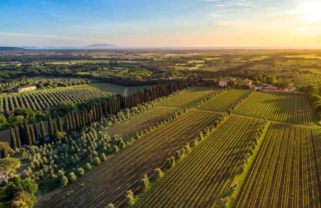 Tuscan wine appellations win trademark case against Bulgarian brand