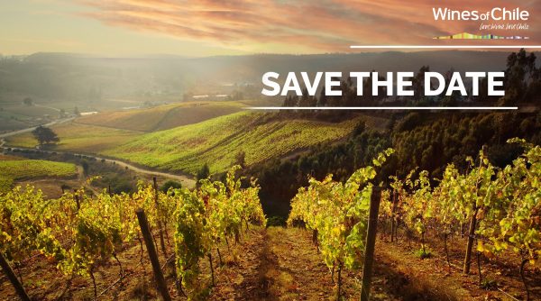 db recommends: Wines of Chile Trade Tasting 2022