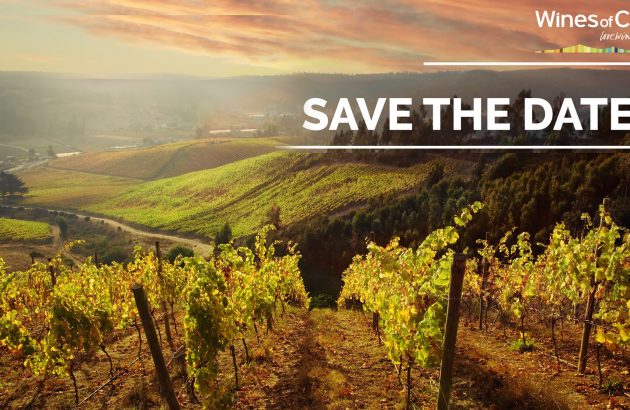 db recommends: Wines of Chile Trade Tasting 2022