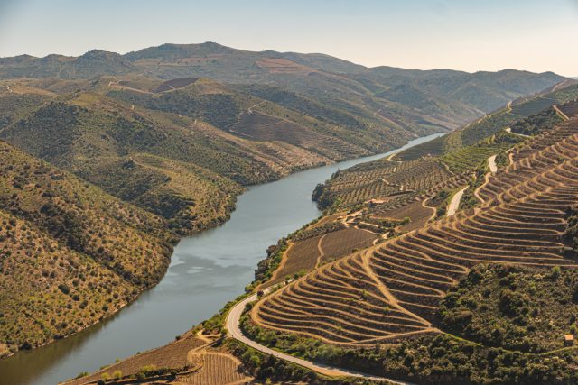 View of the terraced vineyards of the Douro Valley on either side of the River Douro: Portugal's Douro named European City of Wine 2023