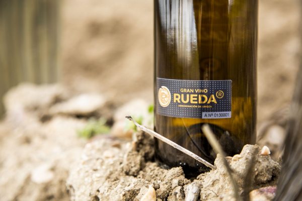 Top 10 white wines from The Rueda Masters