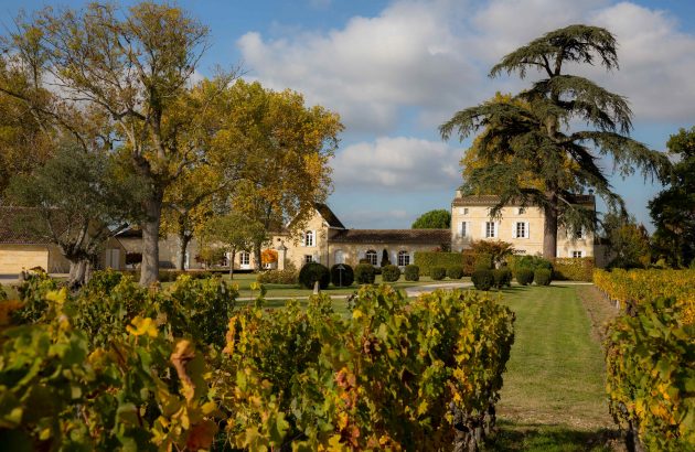 Naturally Bordeaux: preserving the region for future generations