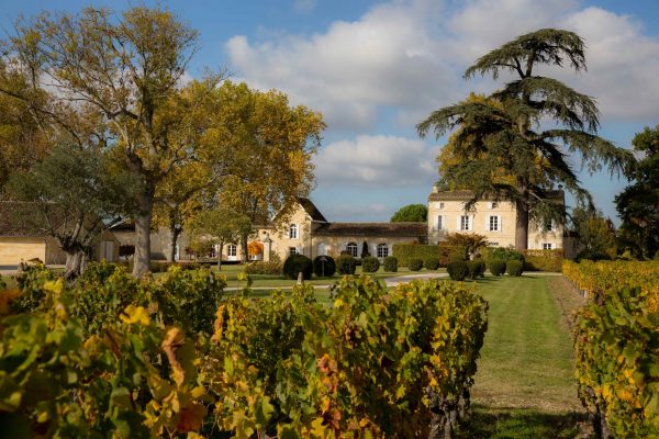 Naturally Bordeaux: preserving the region for future generations