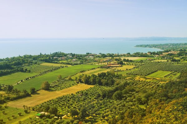 Richard Geoffroy swaps Champagne for Franciacorta