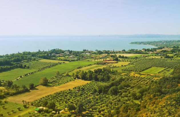 Richard Geoffroy swaps Champagne for Franciacorta