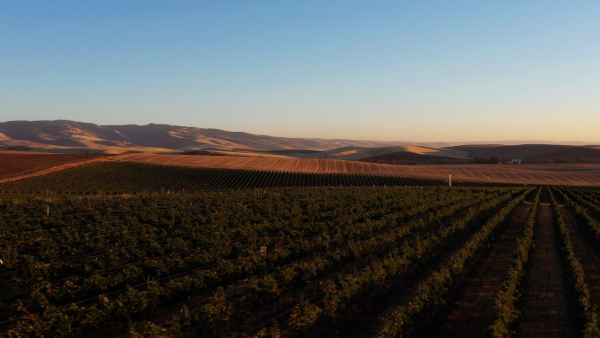 Jackson Family Wines purchases Walla Walla Valley vineyard