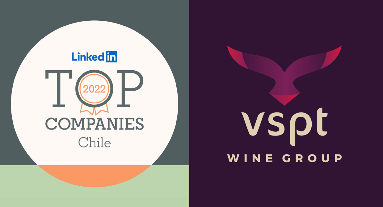VSPT Wine Group ranked in top 10 LinkedIn companies 2022 in Chile