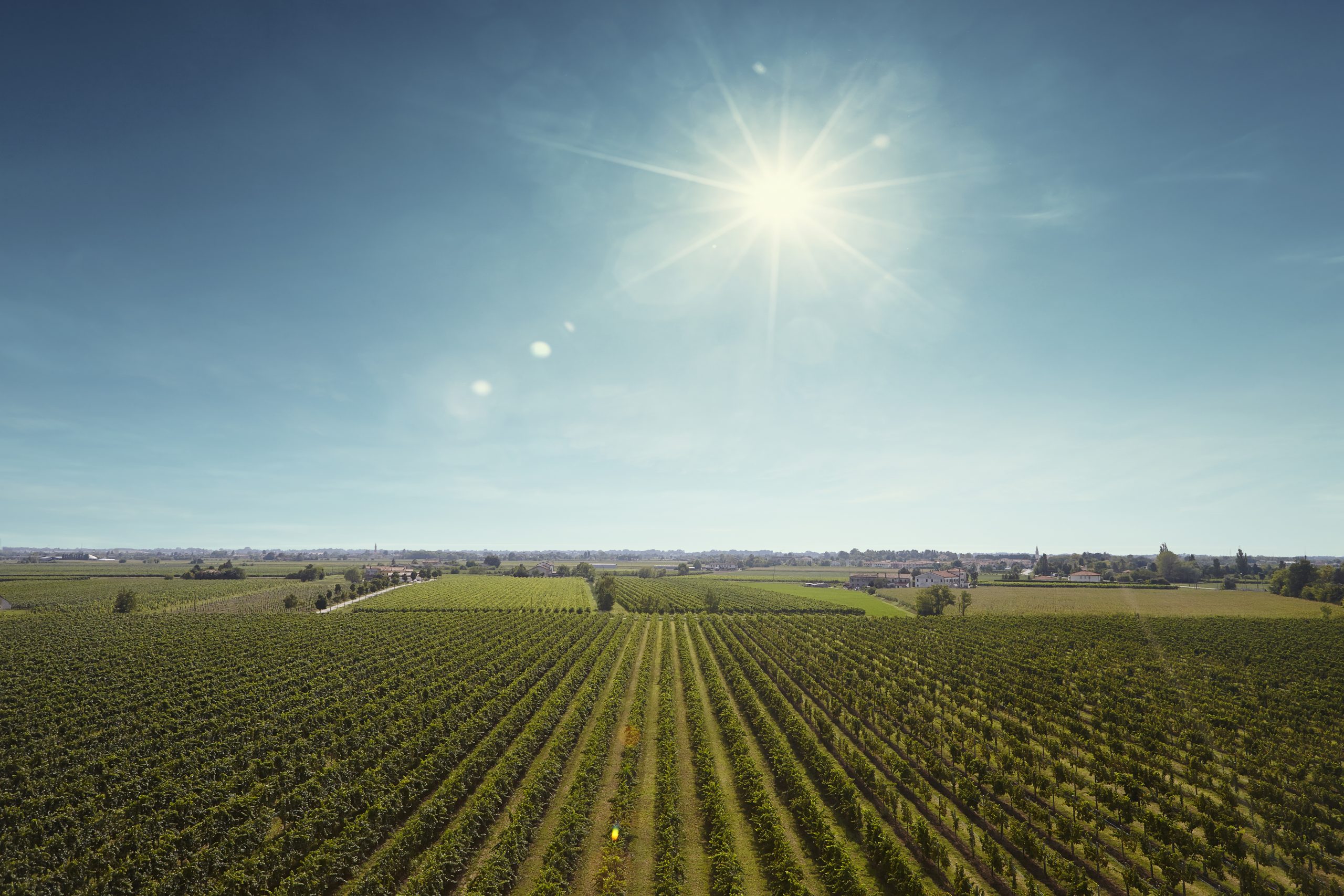 Bosco Malera goes greener with new wine range launching at ProWein