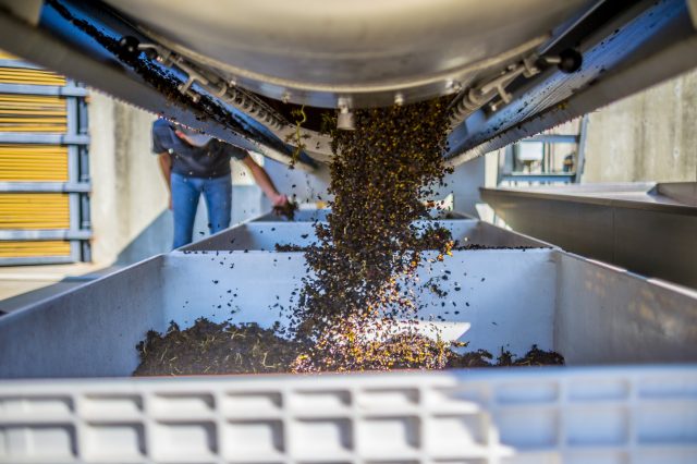 Pol Roger Portfolio partners with The Drinks Business Green Awards 2022