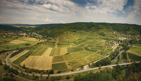 Austrian Sekt ready for a ‘big offensive’