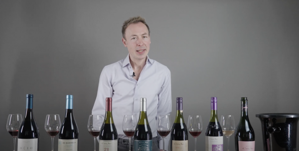 Exploring the journeys of Pinot Noir and Cono Sur