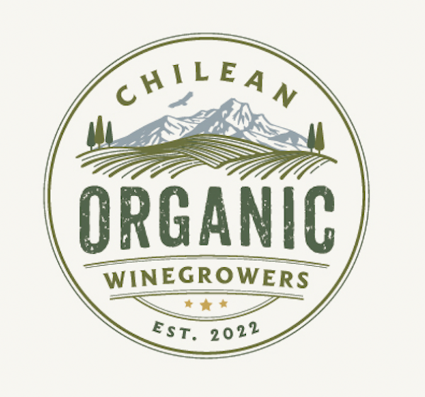Chile officially launches organic wine association with memorable acronym