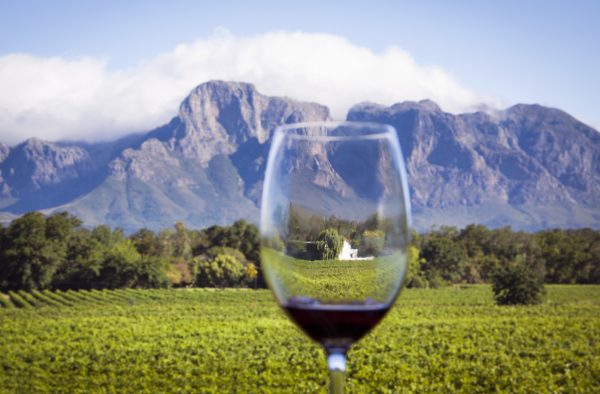 db recommends: taste the wines of South Africa