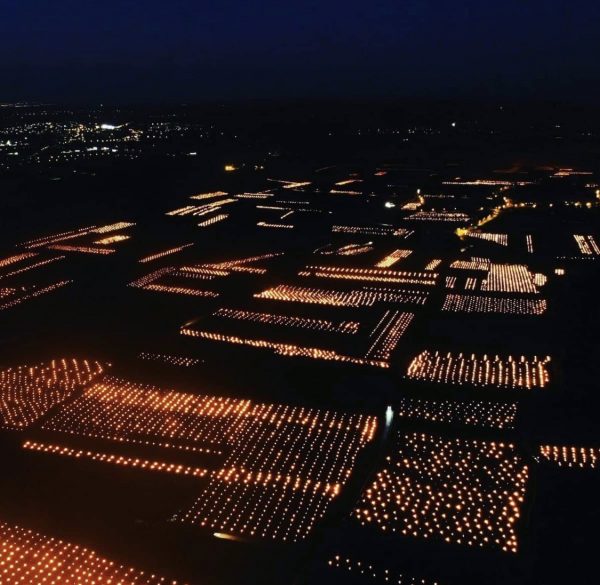 This is why Burgundy is going to get even pricier