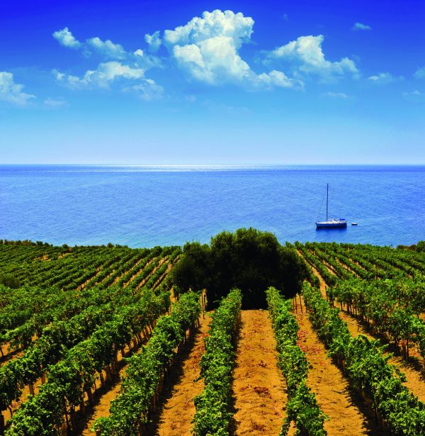 Find out why Sicily should be on your radar at a tasting in London