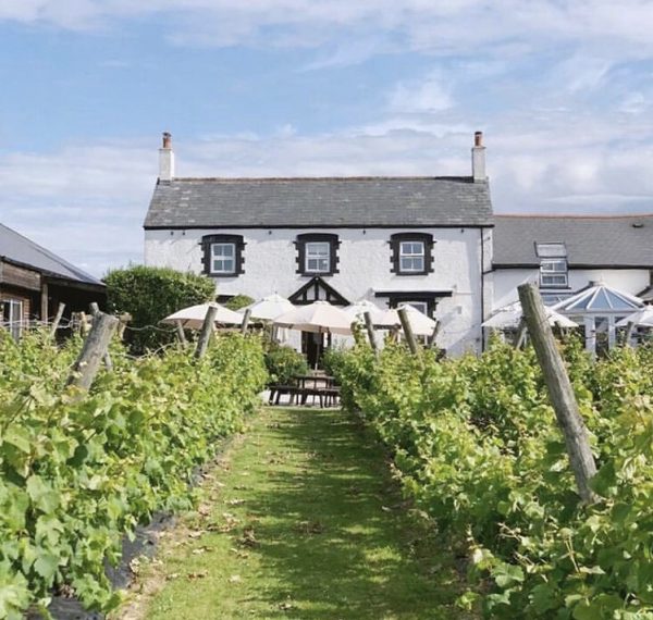 New list reveals the UK’s most beautiful vineyards