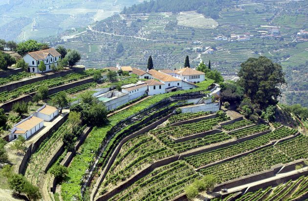 Quinta do Noval unveils new releases