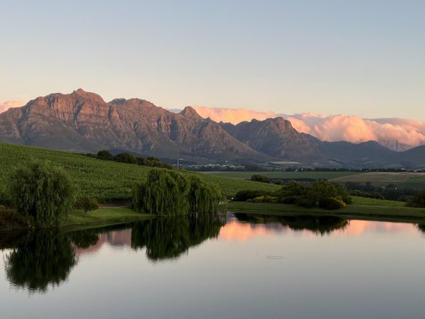 SA harvest report reveals ‘small but mighty’ 2022 vintage