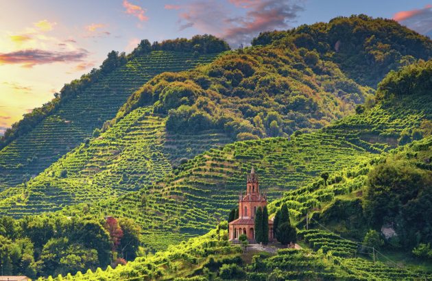 The medal-winners from the Prosecco Masters 2022