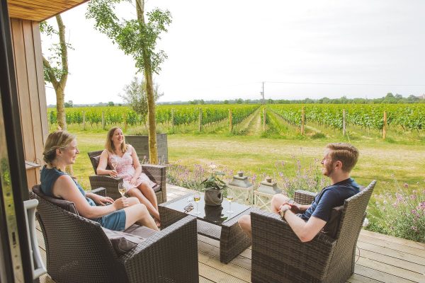 Google searches for UK vineyard stays increase 110%