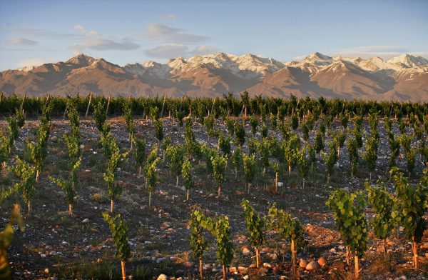 Mendoza and beyond: around the world in Malbec