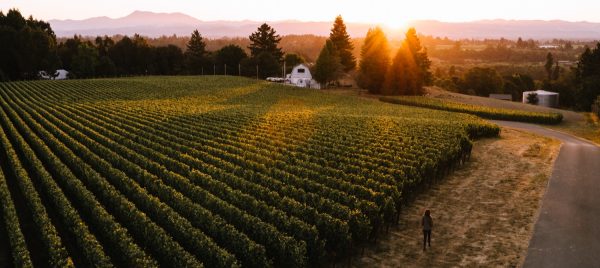 Sonoma producer sets benchmark as it celebrates 25 years