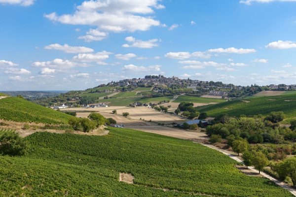 Bollinger Group acquires Hubert Brochard in Sancerre